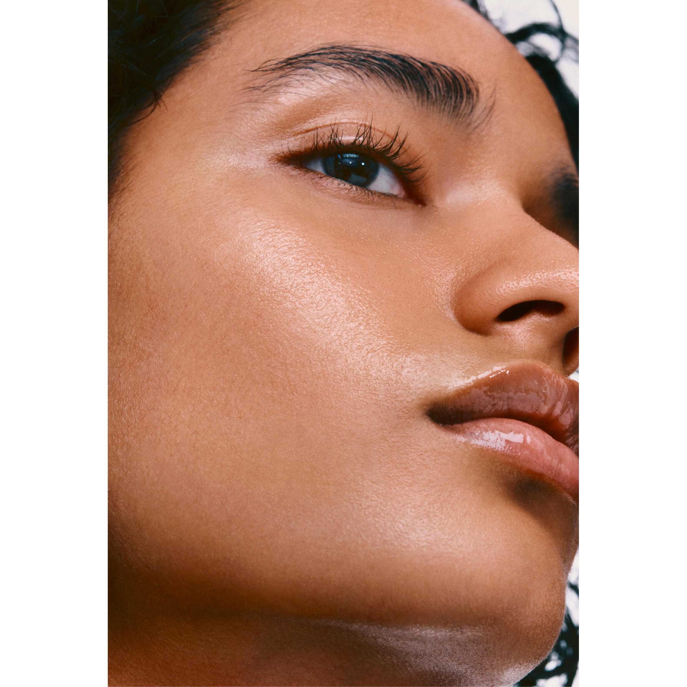 The Rhode Kit - Image 5